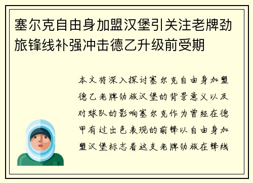 塞尔克自由身加盟汉堡引关注老牌劲旅锋线补强冲击德乙升级前受期