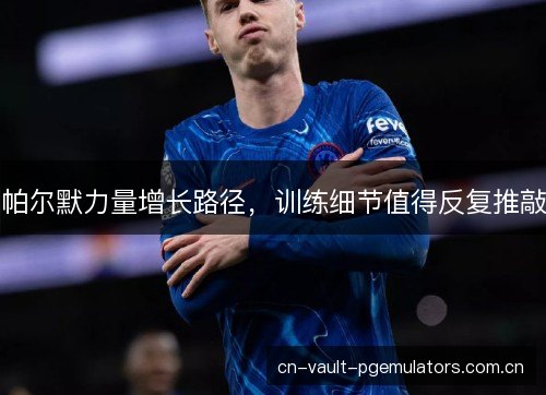 帕尔默力量增长路径，训练细节值得反复推敲